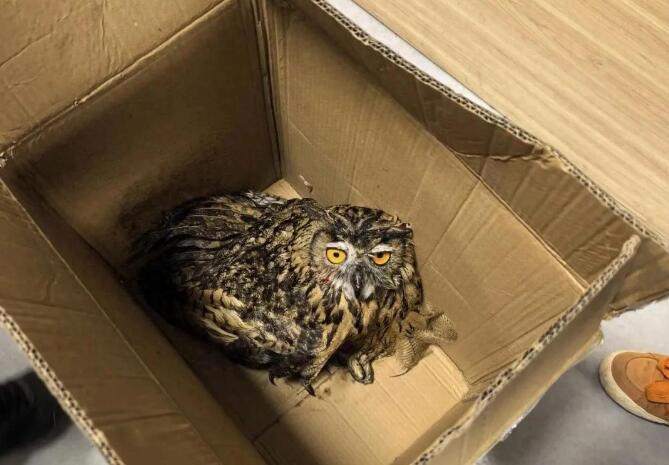 20251028104706.jpg 20251028104706.jpg