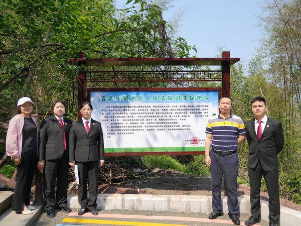 以司法之力 护古树名木——叙州区人民法院发出全市首份古树名木司法保护令.JPG