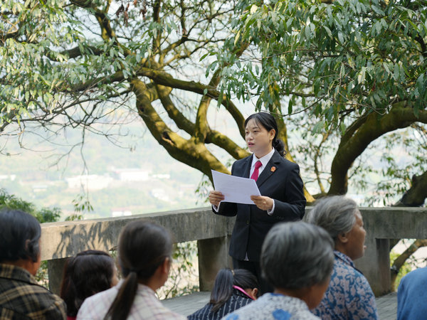 以司法之力 护古树名木——叙州区人民法院发出全市首份古树名木司法保护令 (3).JPG